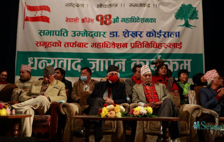 तस्बिरः नवीनबाबु गुरूङ